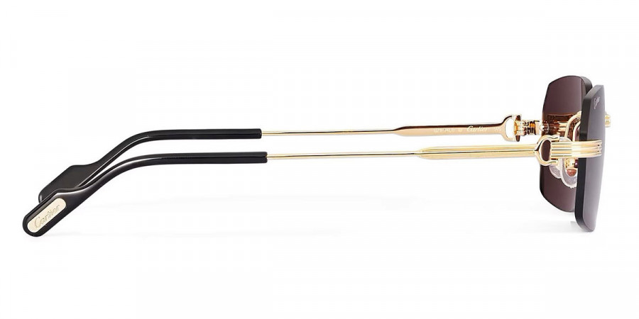 Color: Gold (001) - Cartier CT0271S00158
