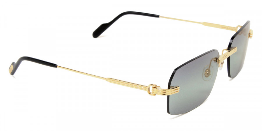 Color: Gold (006) - Cartier CT0271S00658