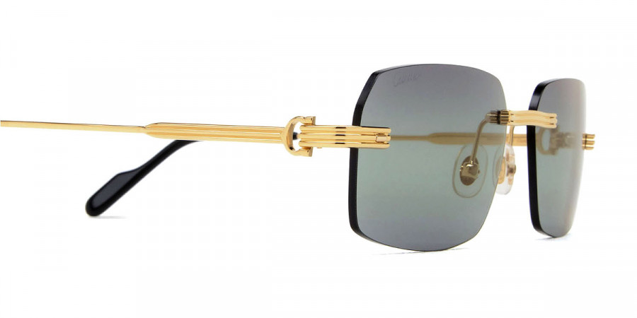 Color: Gold (006) - Cartier CT0271S00658