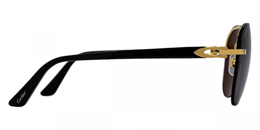 Cartier™ - CT0275S Signature C de Cartier