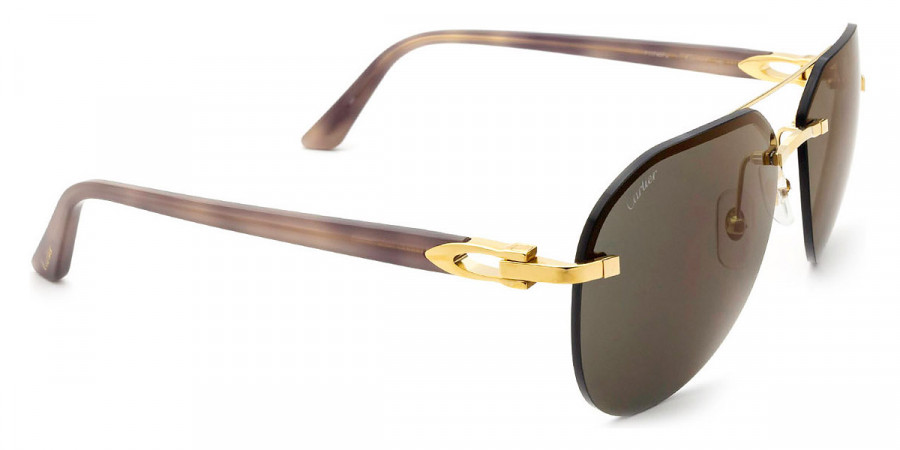 Cartier™ - CT0275S Signature C de Cartier