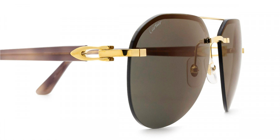 Cartier™ - CT0275S Signature C de Cartier