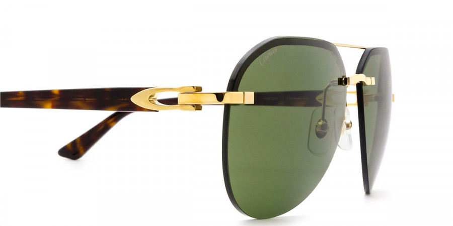 Cartier™ - CT0275S Signature C de Cartier