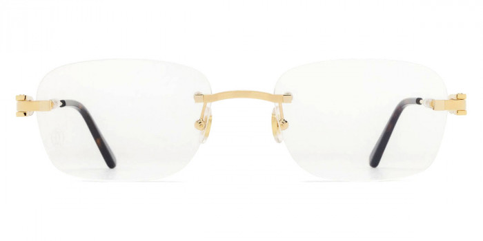 サングラス Cartier Cartier - CT0501S - 004 silver silver light b CARTIER - CT0501S-004