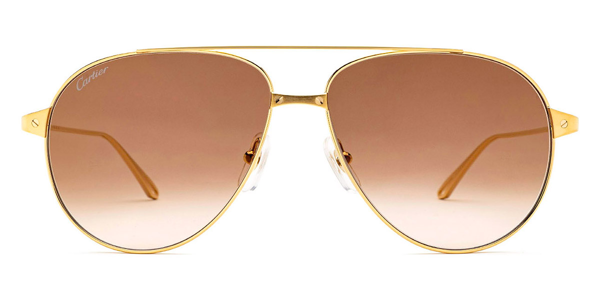 サングラス Cartier Cartier - CT0298S - 002 gold gold brown Cartier CT0298S Sunglasses - Cartier Authorized Dealer