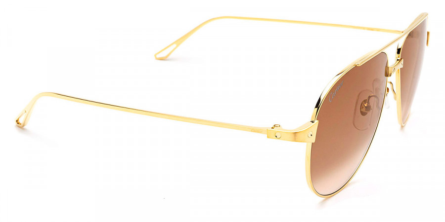 Cartier™ - CT0298S Santos De Cartier