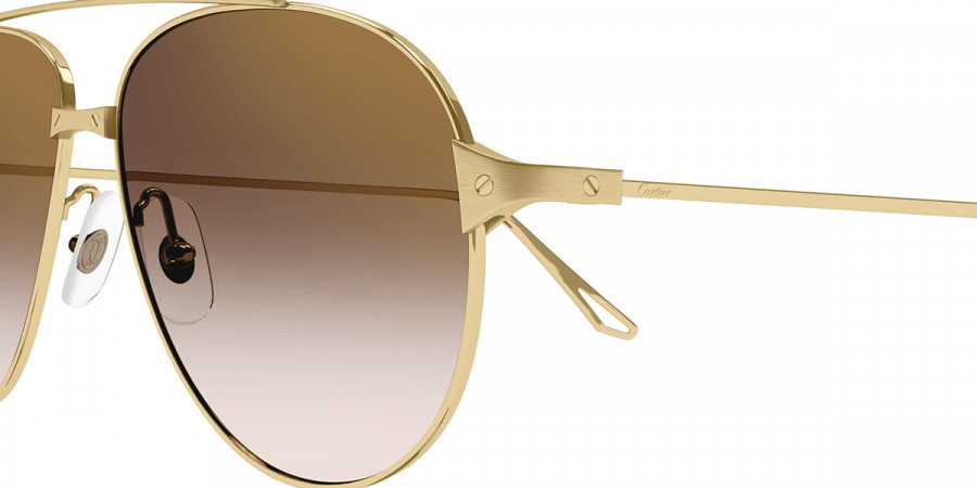 Cartier™ - CT0298S Santos De Cartier