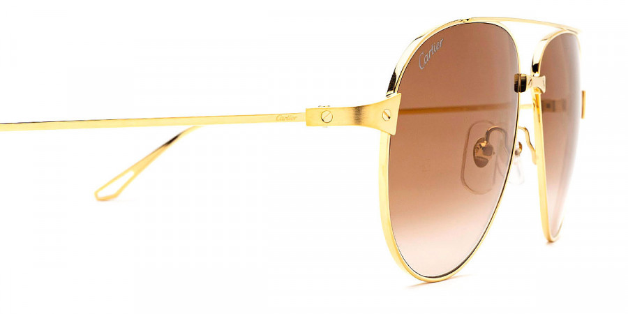 Cartier™ - CT0298S Santos De Cartier