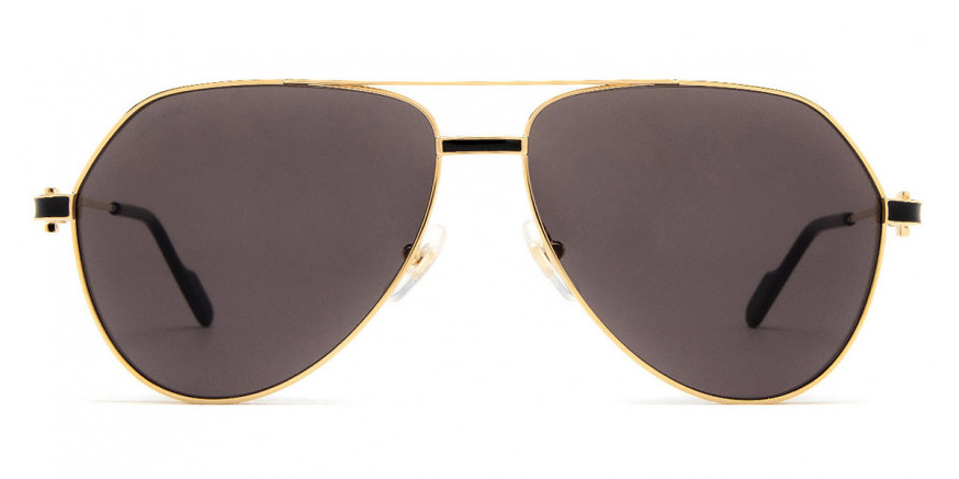 cartier ct0334s