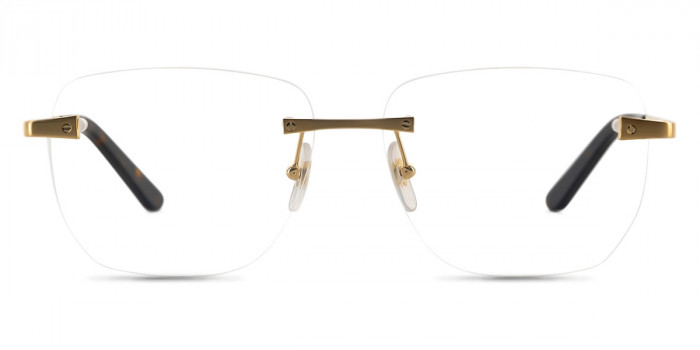 Cartier™ - CT0336O Santos De Cartier