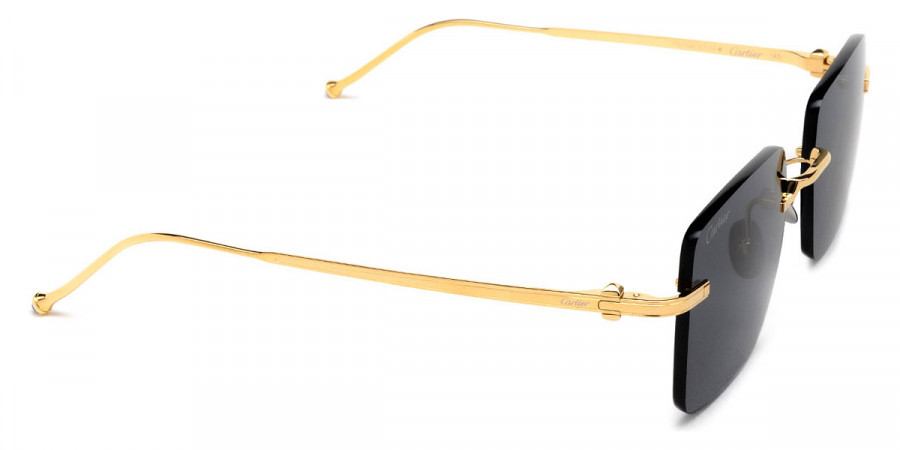 Cartier™ - CT0403S Pasha de Cartier