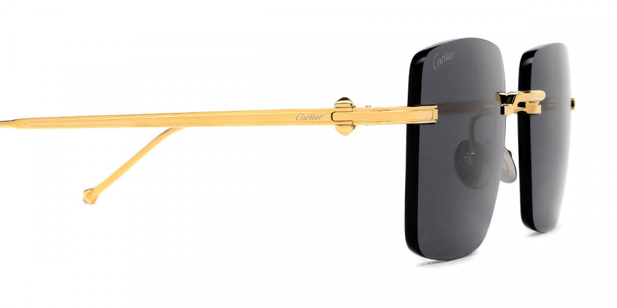 Cartier™ - CT0403S Pasha de Cartier