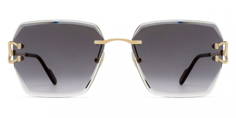 Cartier™ - CT0466S Signature C de Cartier