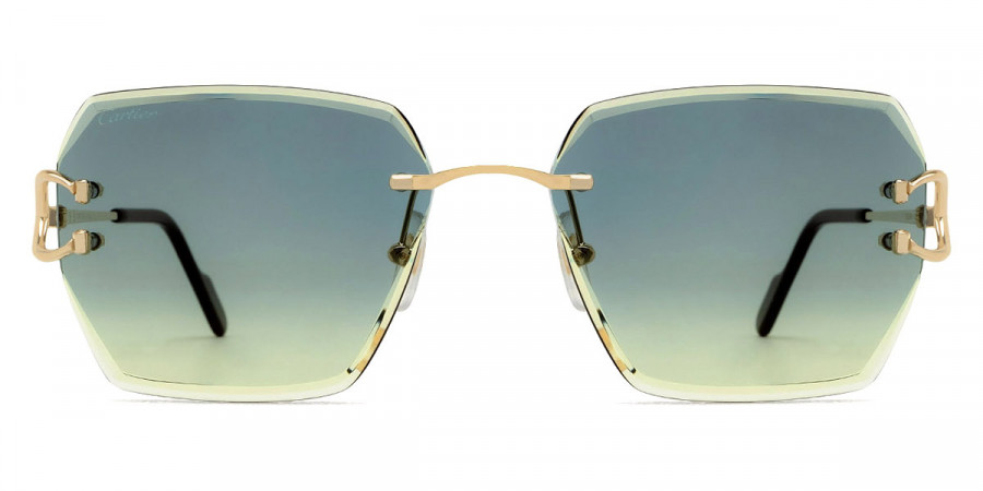 Cartier™ - CT0466S Signature C de Cartier