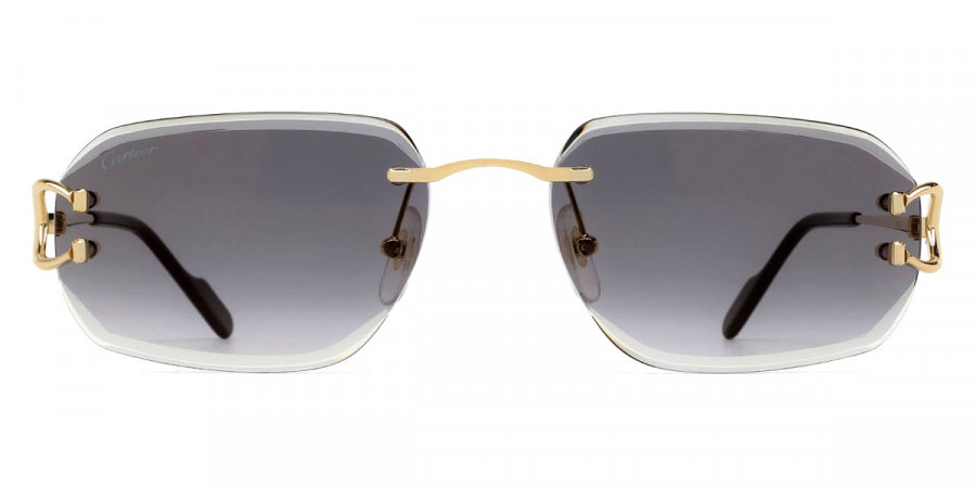 Cartier™ - CT0468S Signature C de Cartier