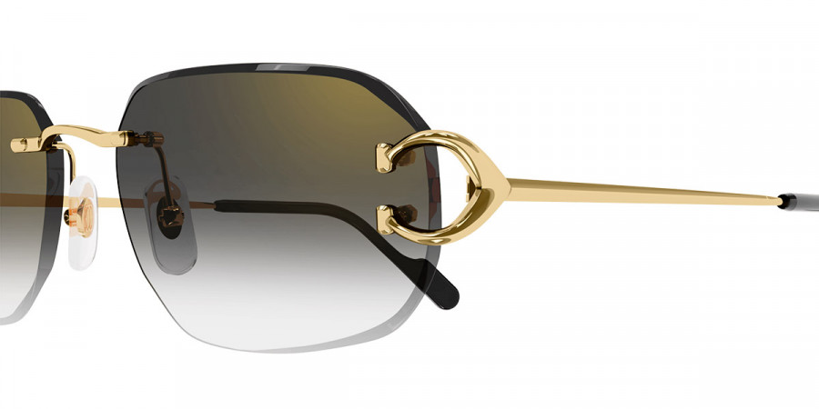 Cartier™ - CT0468S Signature C de Cartier