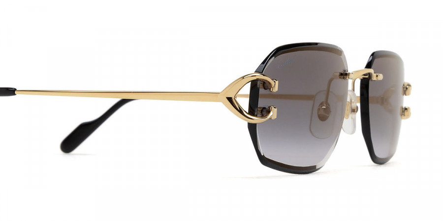 Cartier™ - CT0468S Signature C de Cartier