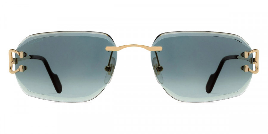 Cartier™ - CT0468S Signature C de Cartier