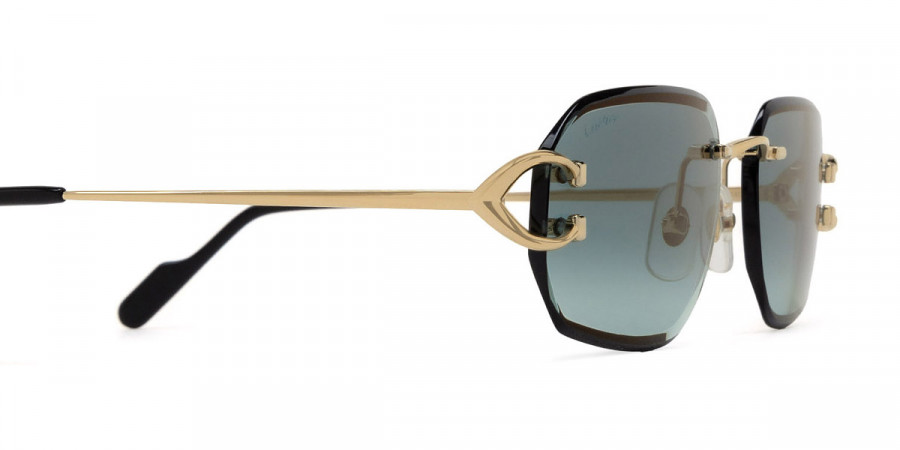 Cartier™ - CT0468S Signature C de Cartier