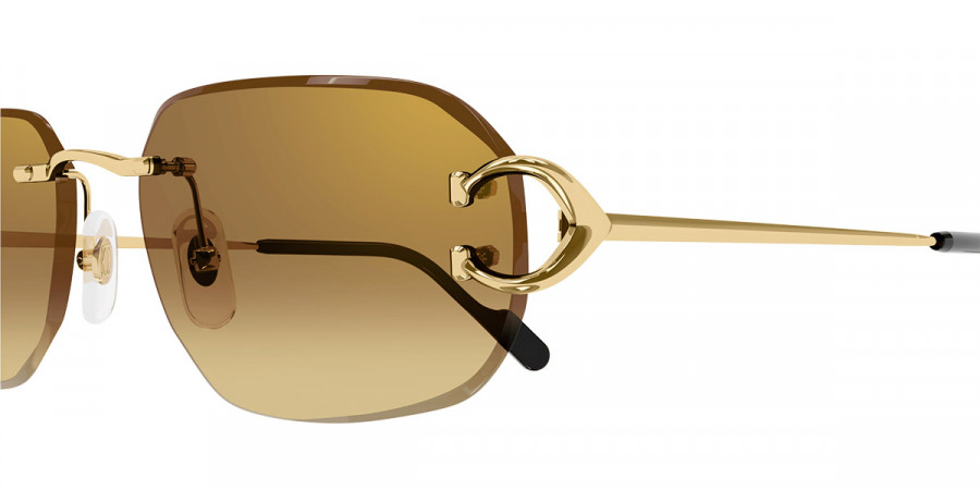 Cartier™ - CT0468S Signature C de Cartier