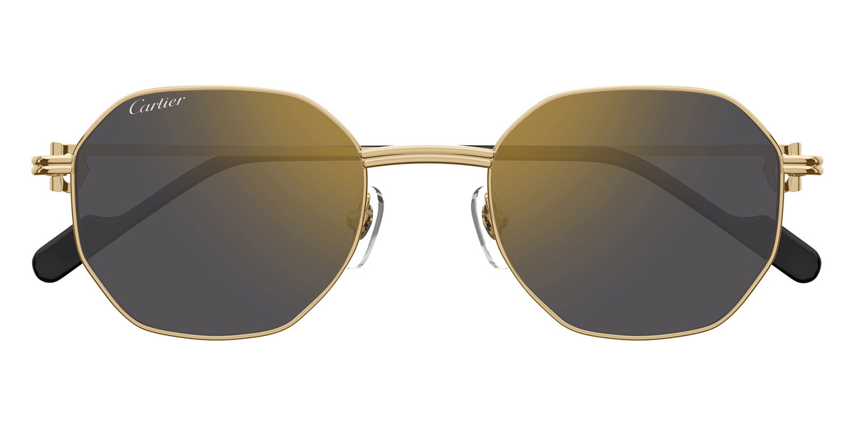 CARTIER リムレスサンクラス CT0508S 002 Cartier CT0508S 002 Sunglasses Shiny Platinum - eye-oo.com