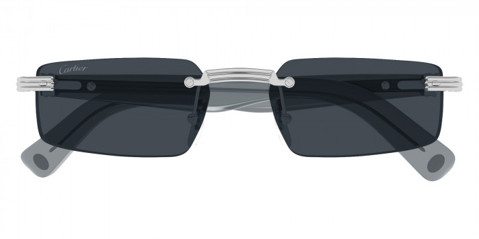 Cartier™ CT0537S 003 55 - Silver/Blue Première de Cartier