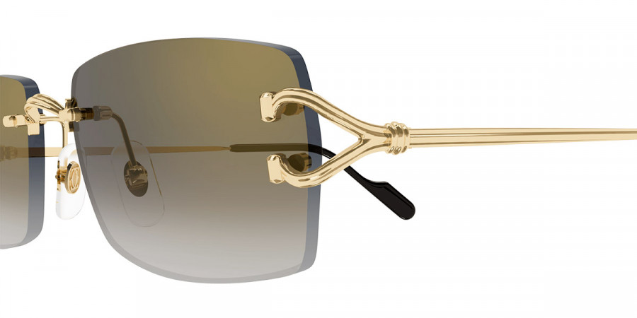 Cartier™ - CT0550S Signature C de Cartier