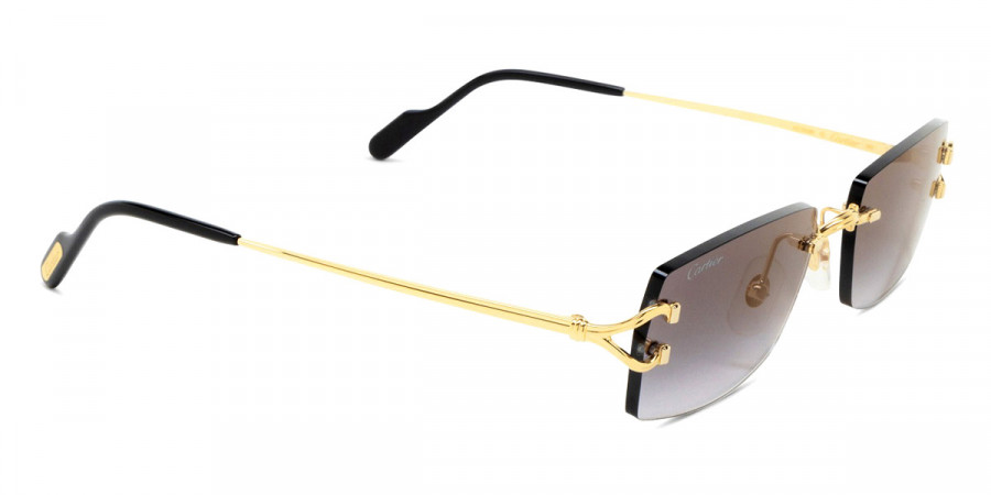 Cartier™ - CT0550S Signature C de Cartier