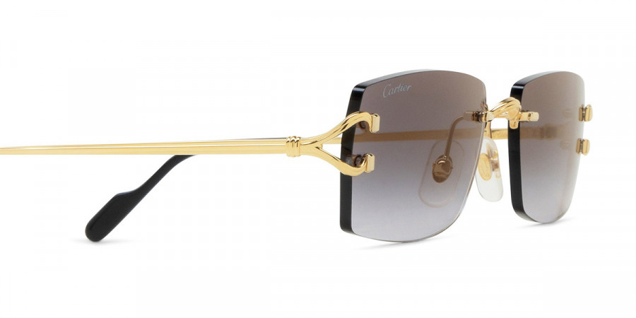 Cartier™ - CT0550S Signature C de Cartier