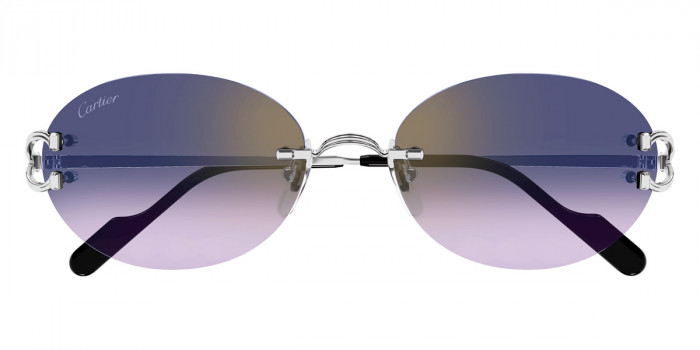 Cartier™ CT0551S 003 55 - Silver Signature C de Cartier