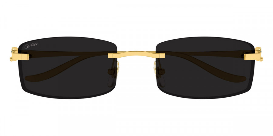Cartier™ - CT0552S Precious