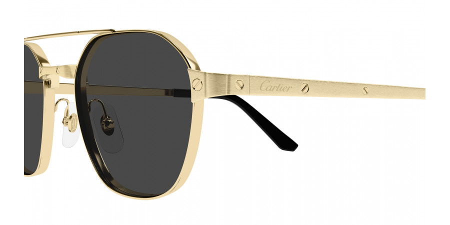 Cartier™ - CT0571S Santos de Cartier