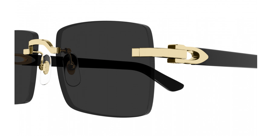 Cartier™ - CT0579S C Décor