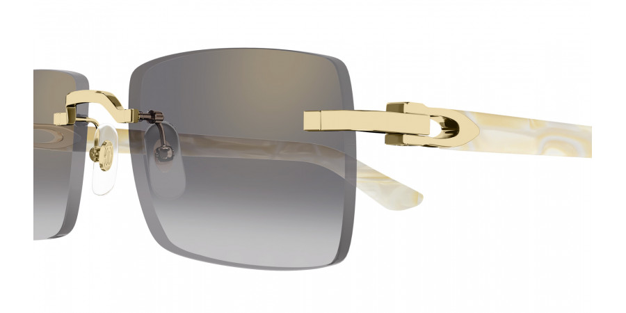 Cartier™ - CT0579S C Décor