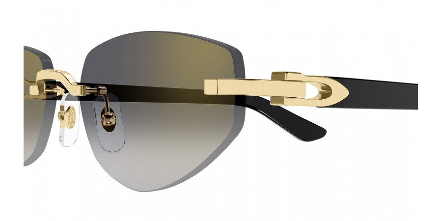 Cartier™ - CT0580S C Décor