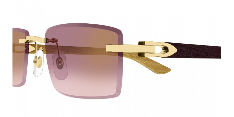 Cartier™ - CT0582S C Décor