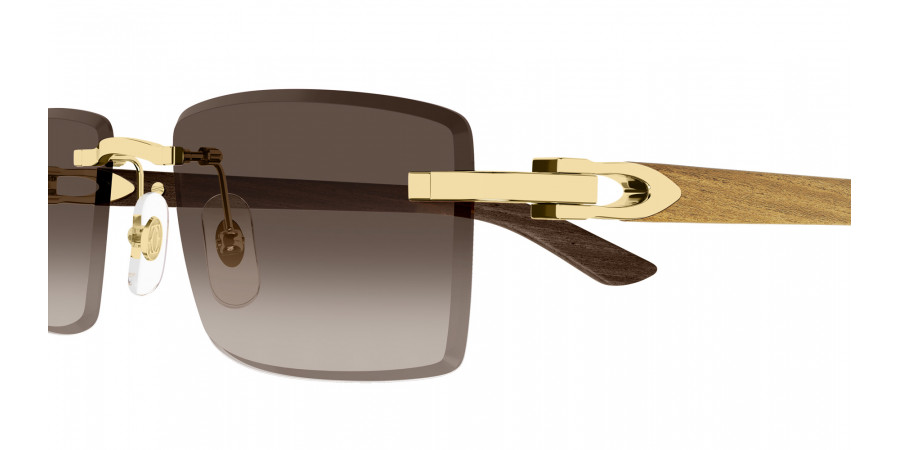 Cartier™ - CT0582S C Décor