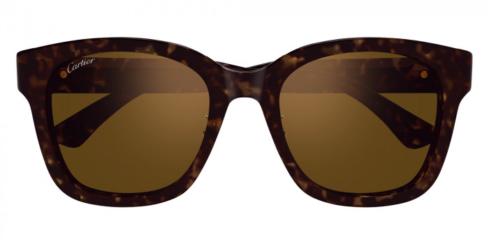 Cartier™ CT0589SA 002 54 - Havana C Décor