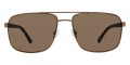 Light Brown / Bronze Polarized
