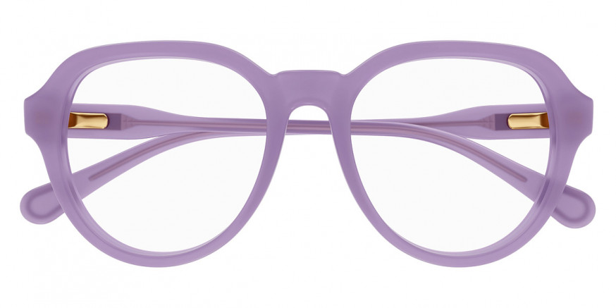 Color: Violet (004) - Chloé CC0015O00447