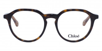 Color: Brown (008) - Chloé CH0012O00850