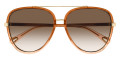 Brown / Brown Gradient