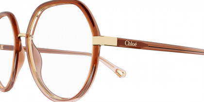 Color: Brown (002) - Chloé CH0131O00254