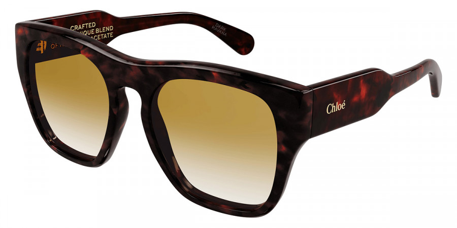 Color: Havana (002) - Chloé CH0149S00255