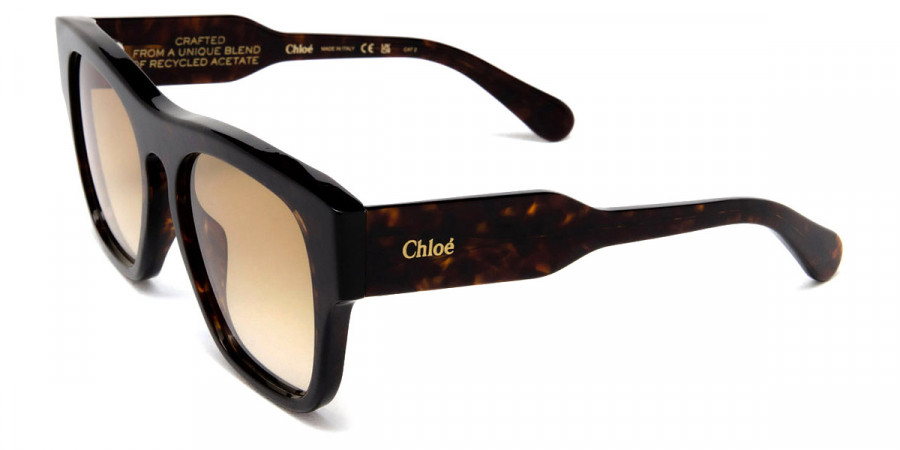 Color: Havana (002) - Chloé CH0149S00255