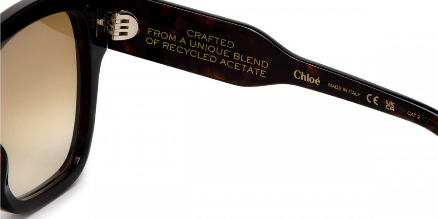 Color: Havana (002) - Chloé CH0149S00255