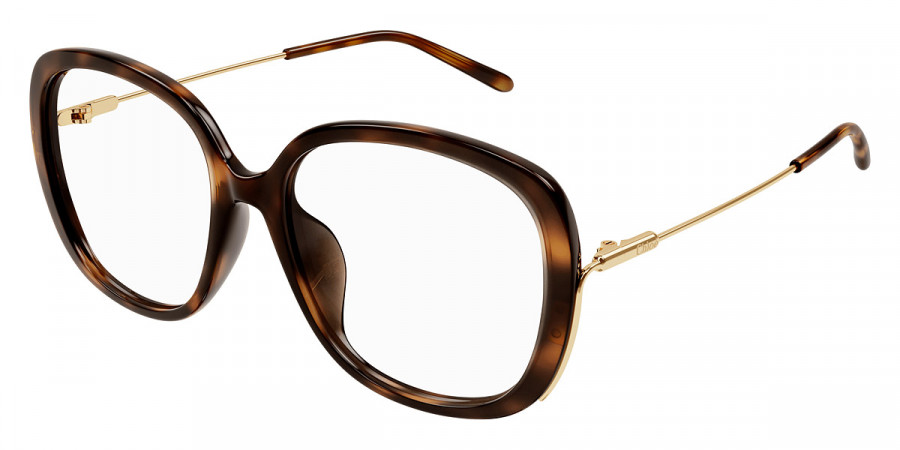 Color: Havana/Gold (002) - Chloé CH0176OA00256