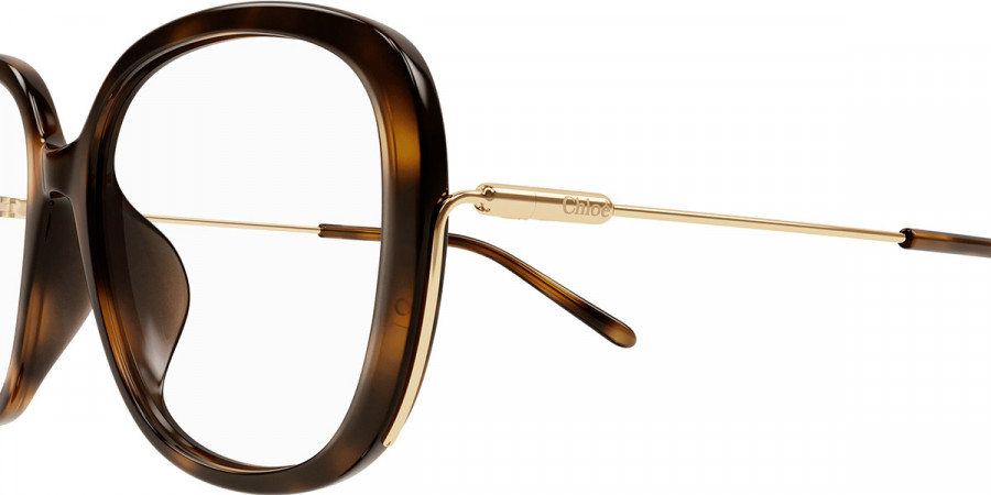 Color: Havana/Gold (002) - Chloé CH0176OA00256