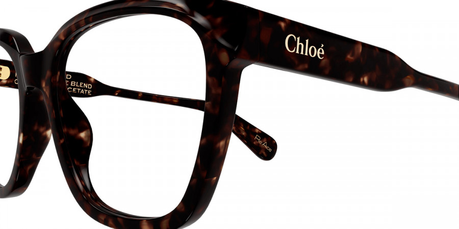 Color: Havana (002) - Chloé CH0265O00254