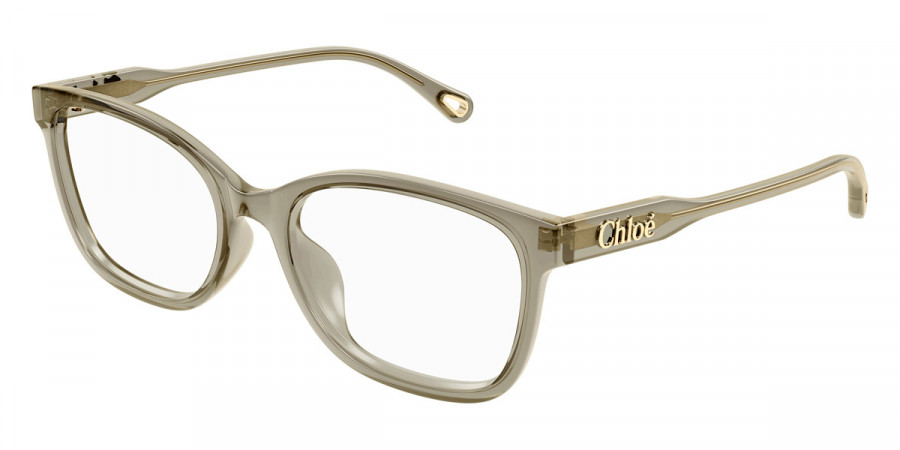 Color: Green (004) - Chloé CH0276OA00454